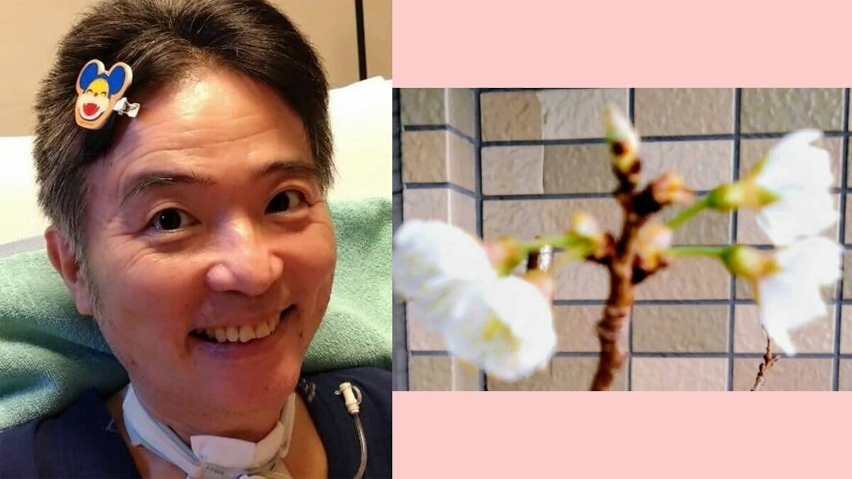 【ニャンちゅう】声優・津久井教生さん　「私を待ってくれたように桜も満開」「口から美味しいゼリーを食べました」体調回復を報告　【ＡＬＳ闘病】