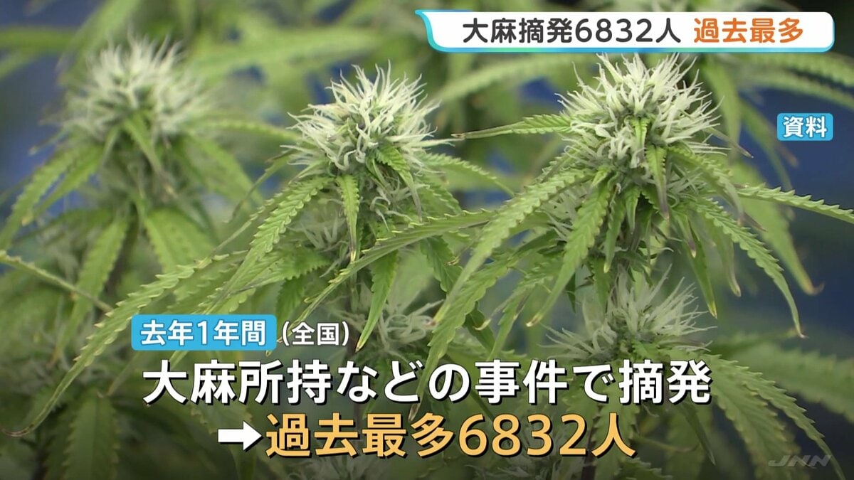若者にまん延する大麻 20代以下が全体の7割以上…去年1年の大麻事件摘発6832人で過去最多　ネット通じて売人を知るケースが4割以上 警察庁