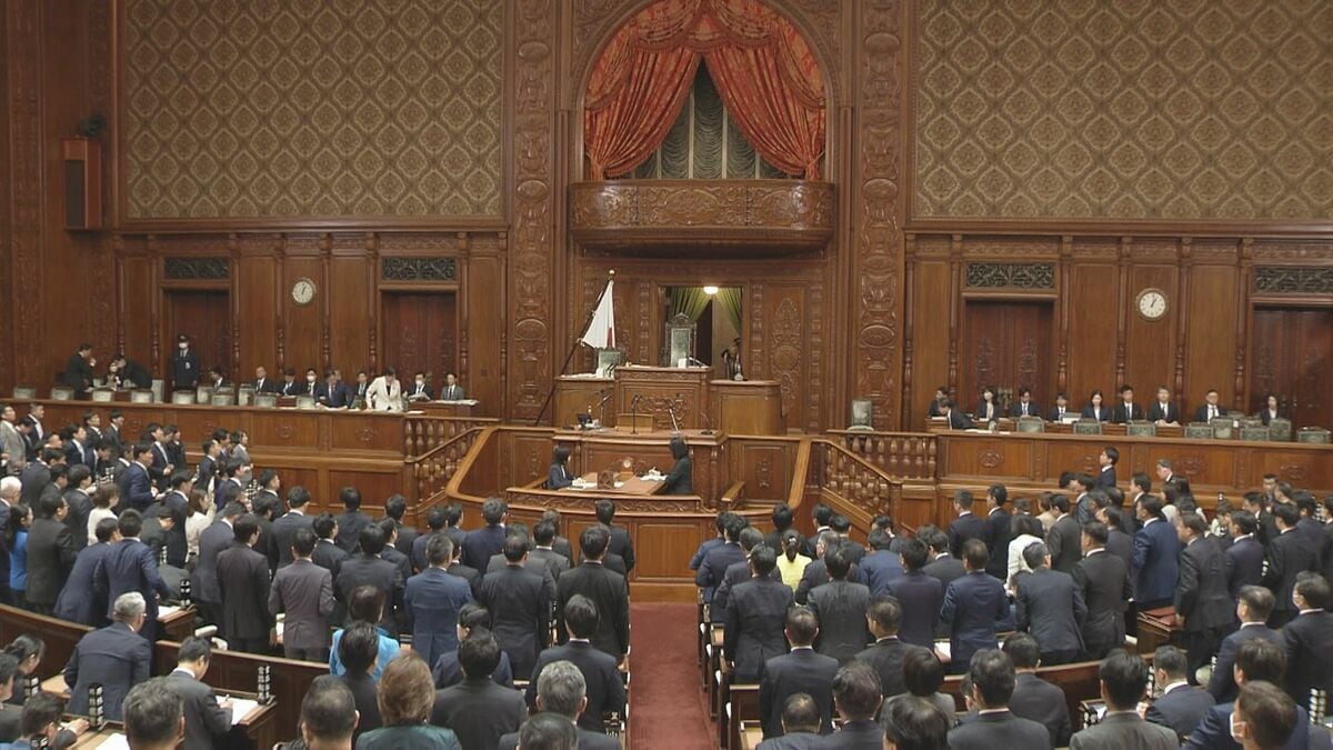 「OTC類似薬」自己負担の上乗せや出産費用無償化など含む健康保険法改正法案　国会で審議入り