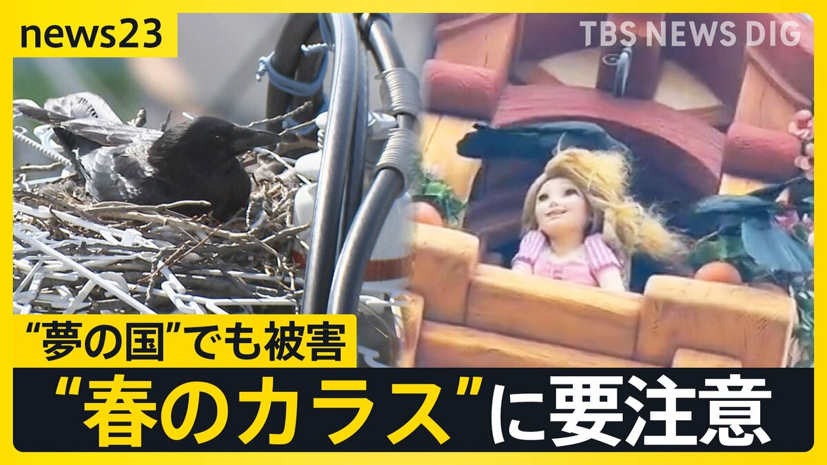 “春のカラス”に要注意…「夢の国」の人気キャラクターの髪にも悲劇　対策が追いつかない理由とは【news23】