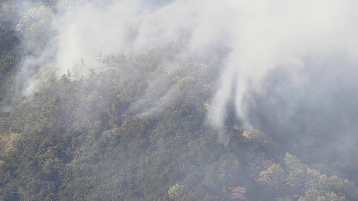 佐野市の山林火災　鎮圧のめど立たず　消火活動続く　建物火災の火が裏山に燃え広がる　栃木県佐野市