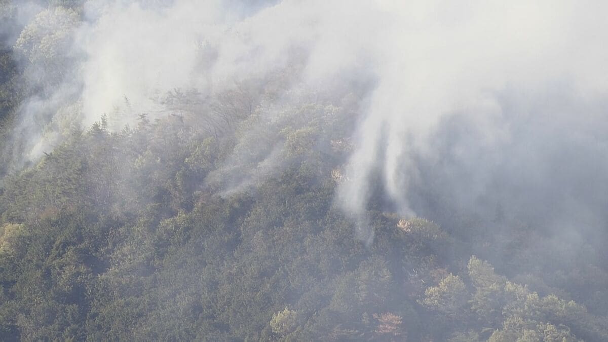 佐野市の山林火災は「鎮圧」 これまでに約2.6ヘクタール焼失 建物火災の火が裏山に燃え広がって発生 栃木県佐野市