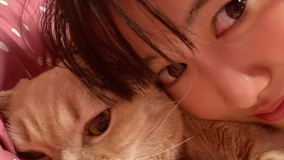 【 ももクロ・高城れに 】「Z君、ずっと愛してるよ」旅立って1年の愛猫を偲ぶ 〝ZZ君て弟もいてくれるから2倍頑張れるよ〟