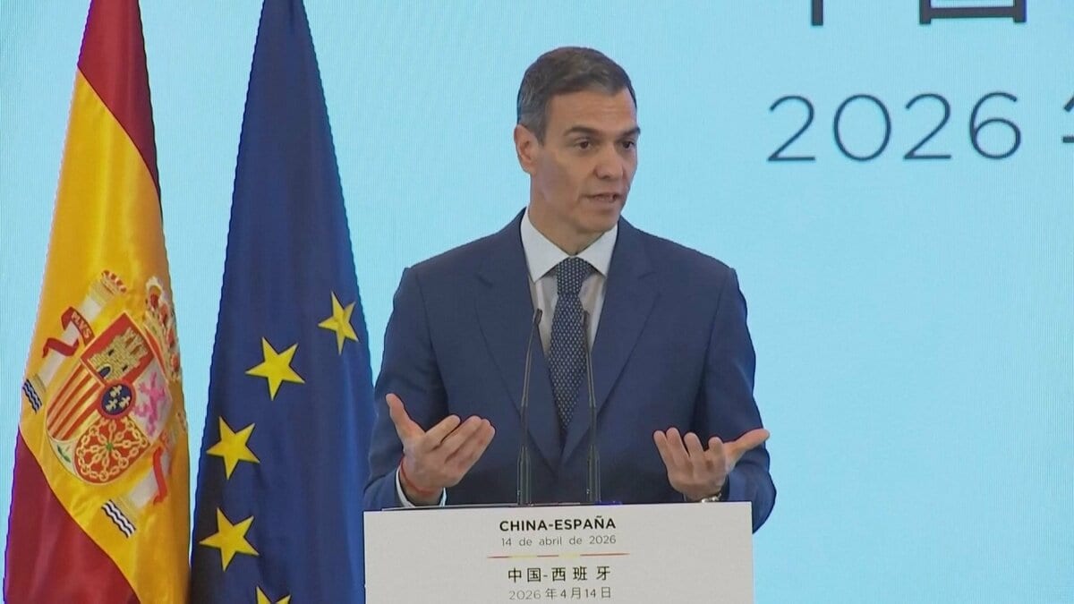 スペイン政府 在留資格のない移民約50万人に在留許可