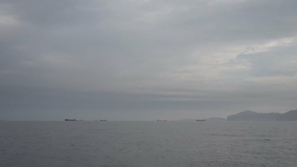 ホルムズ海峡　過去24時間で20隻以上の商船が通過　コンテナ船やタンカーも　WSJ報道