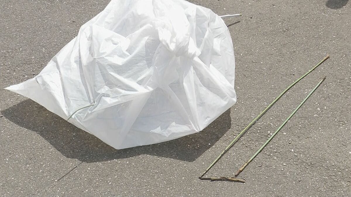 東武アーバンパークラインは運転再開 “カラスの巣”が原因で火災・停電か 男性1人がけが