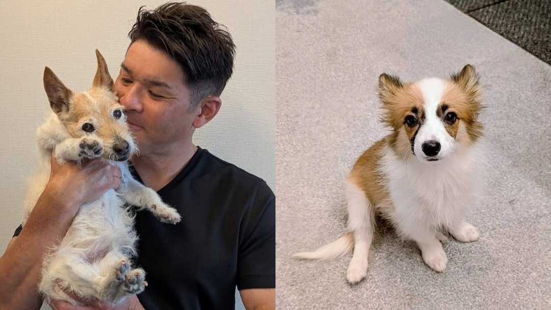 【 照英 】旅立った愛犬「テン」と共に暮らす愛犬「パピコ」に変わらぬ愛情　「様々な思いに厚みが生まれた」感慨深く振り返る