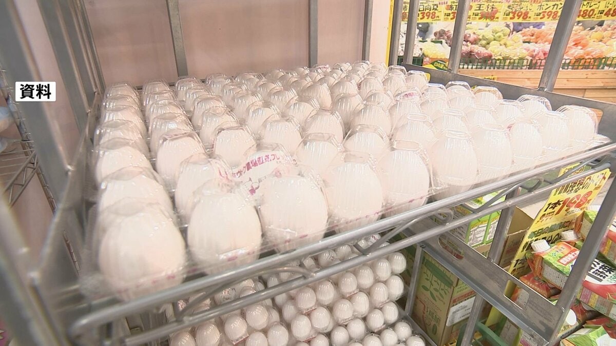 たまご価格　最高値更新の先月からほぼ横ばいも高水準続く