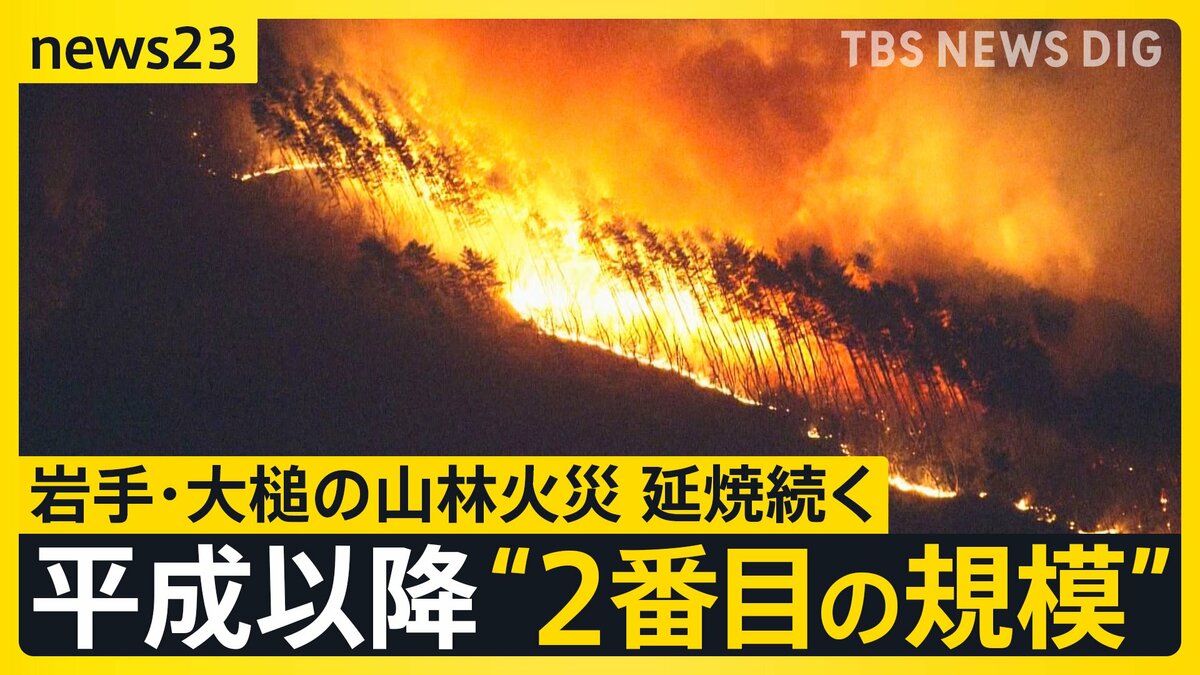 「全然寝られない」岩手・大槌の山林火災 延焼続き平成以降“2番目の規模”に 牛舎が燃えた畜産家は牛残せぬ苦悩も【news23】