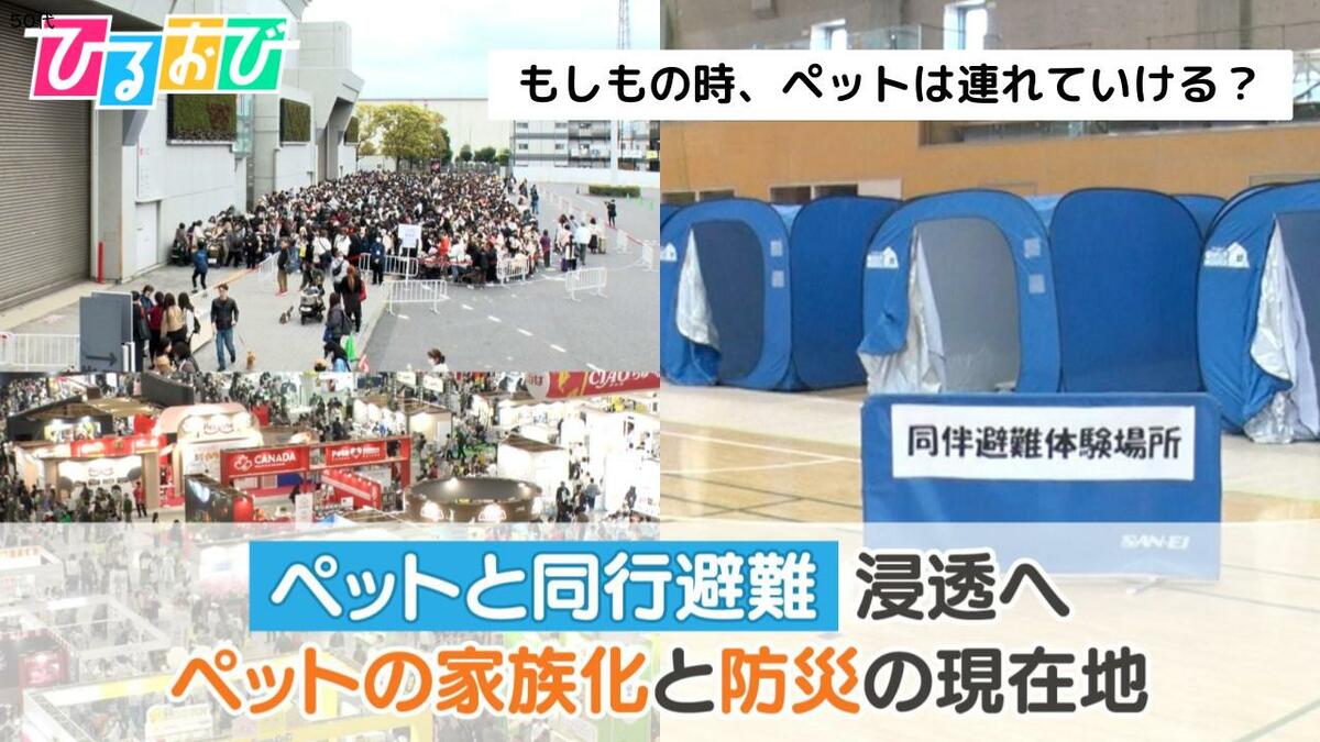 もしもの時、ペットは連れていける？「ペットと同行避難」浸透へ＿ペットの家族化と防災の現在地【ひるおび】