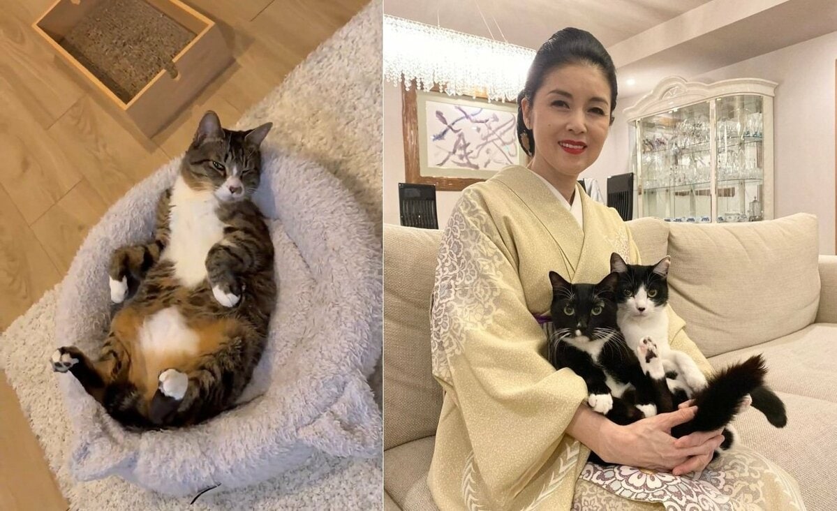 【 藤あや子 】「あれから2年」「他の臓器への転移もなく」 子宮体がんの手術を乗り越えて「この日を迎えられたことは決して当たり前ではない」感謝と決意新た