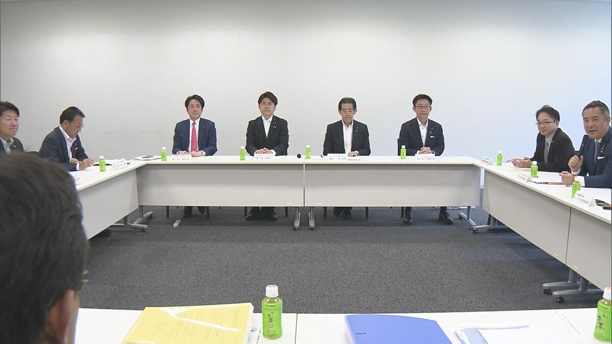 選挙中のSNS対策　与野党、今国会での法改正合意　SNS事業者の対策義務など4項目
