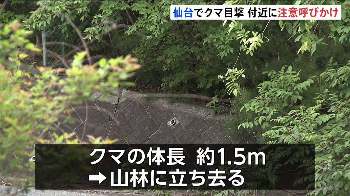 仙台市内でクマ1頭目撃 体長約1.5m　付近には小学校やこども園も… 警察が注意呼びかけ　宮城