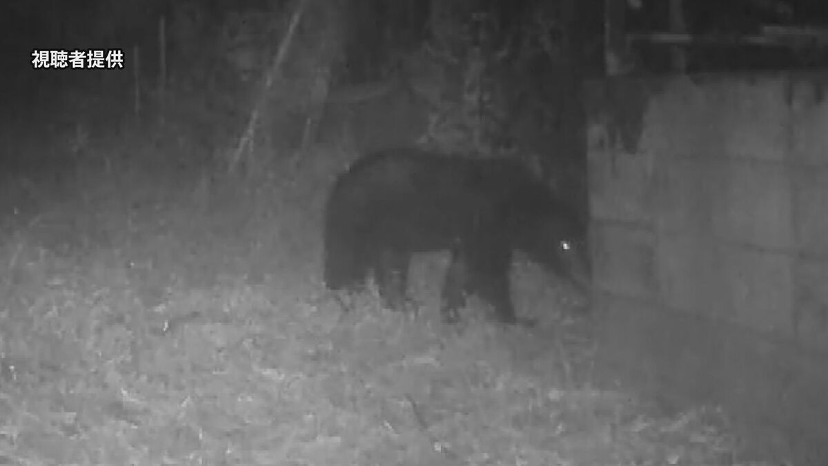 東京・八王子などでハンターがクマのパトロールを実施　春のパトロールは初めて