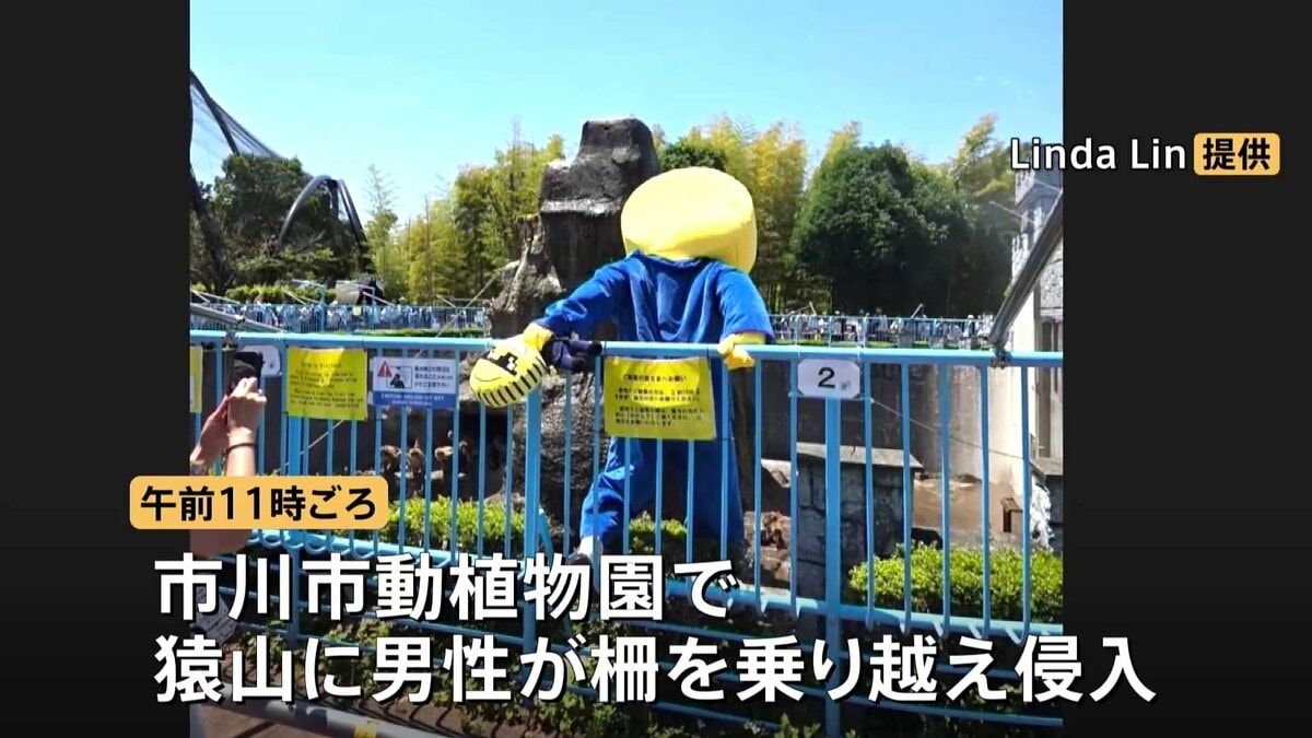 パンチくんの猿山に着ぐるみを着た男性が柵を乗り越え侵入　2人を警察に引き渡す　自称アメリカ国籍と話す　千葉・市川市
