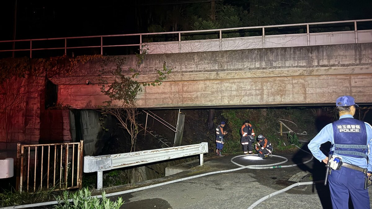 埼玉県の西武秩父線沿線で山林火災 一時運転見合わせ　横瀬町　けが人なし