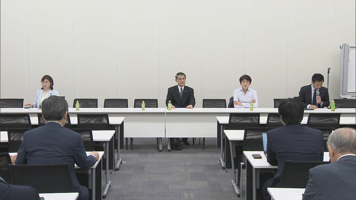 再審制度見直す超党派の議員連盟が会合 国会で再度の修正求める声が相次ぐ
