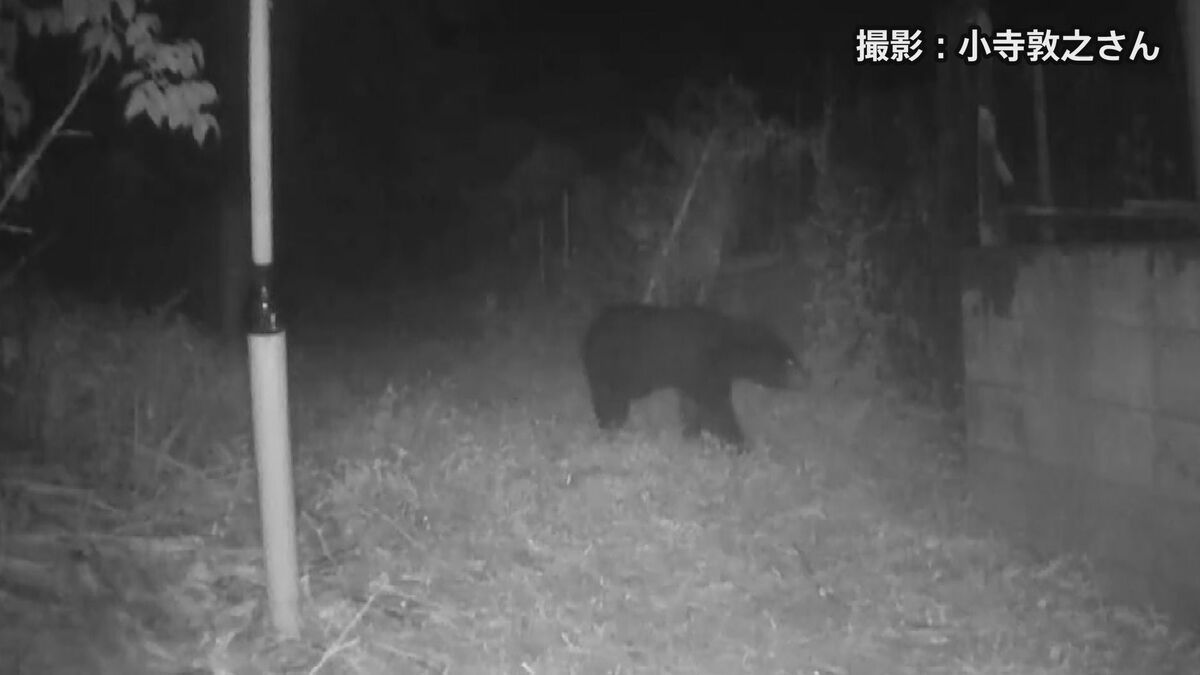 「人間の警戒のレベルは上げる段階にきた」東京・八王子市で“クマ対策プロジェクトチーム”始動 市内の地形など特徴ふまえたマニュアル作り