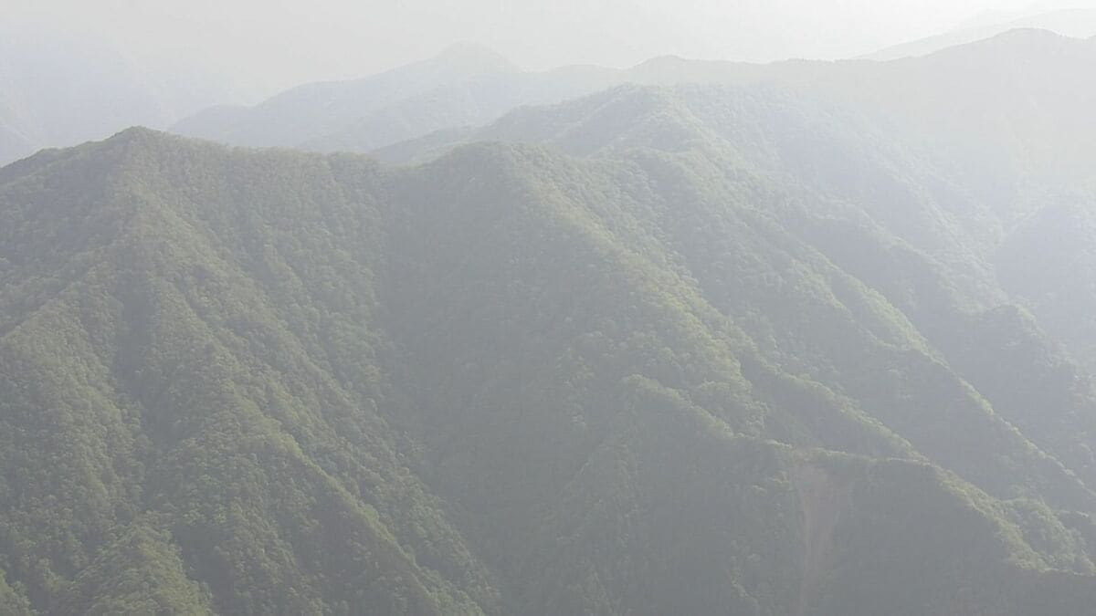 東京と埼玉にまたがる仙元峠付近で上半身のない遺体　クマに襲われた可能性　周辺には大型動物の足跡やフン　警視庁が身元確認進める