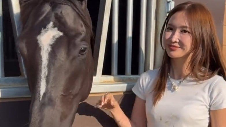 【 紗栄子 】引退競走馬を〝新しい家族〟に　自身のファームで迎え入れ「これからは人を乗せてゆっくり歩く練習」　競走馬に〝第二の人生〟を