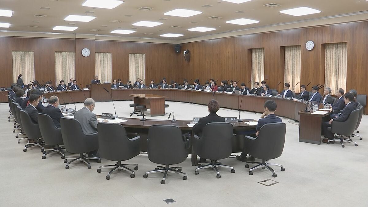 参院憲法審査会「1票の格差」テーマに各党が意見表明 「合区」の解消の必要性を各党主張も憲法改正めぐっては見解分かれる