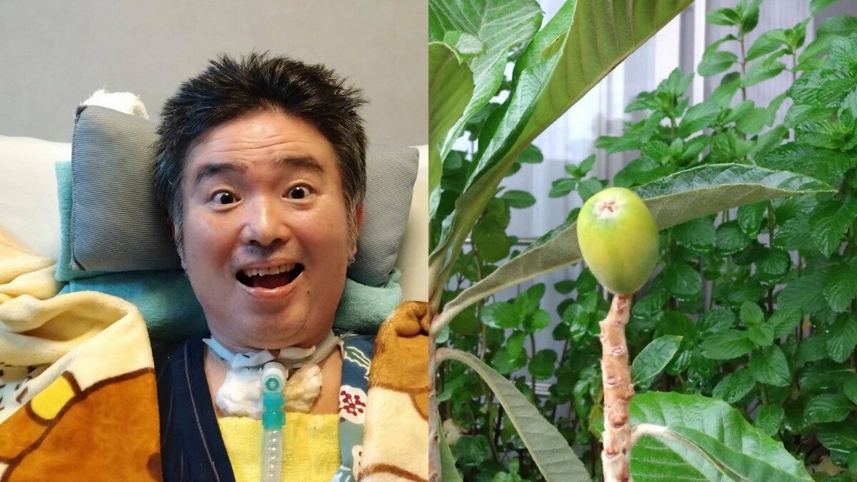 【 ALS闘病 】声優・津久井教生さん　“ベランダ果実”を紹介「かなり大きくなってきました～」「なんか可愛いのです♡」【ニャンちゅう】