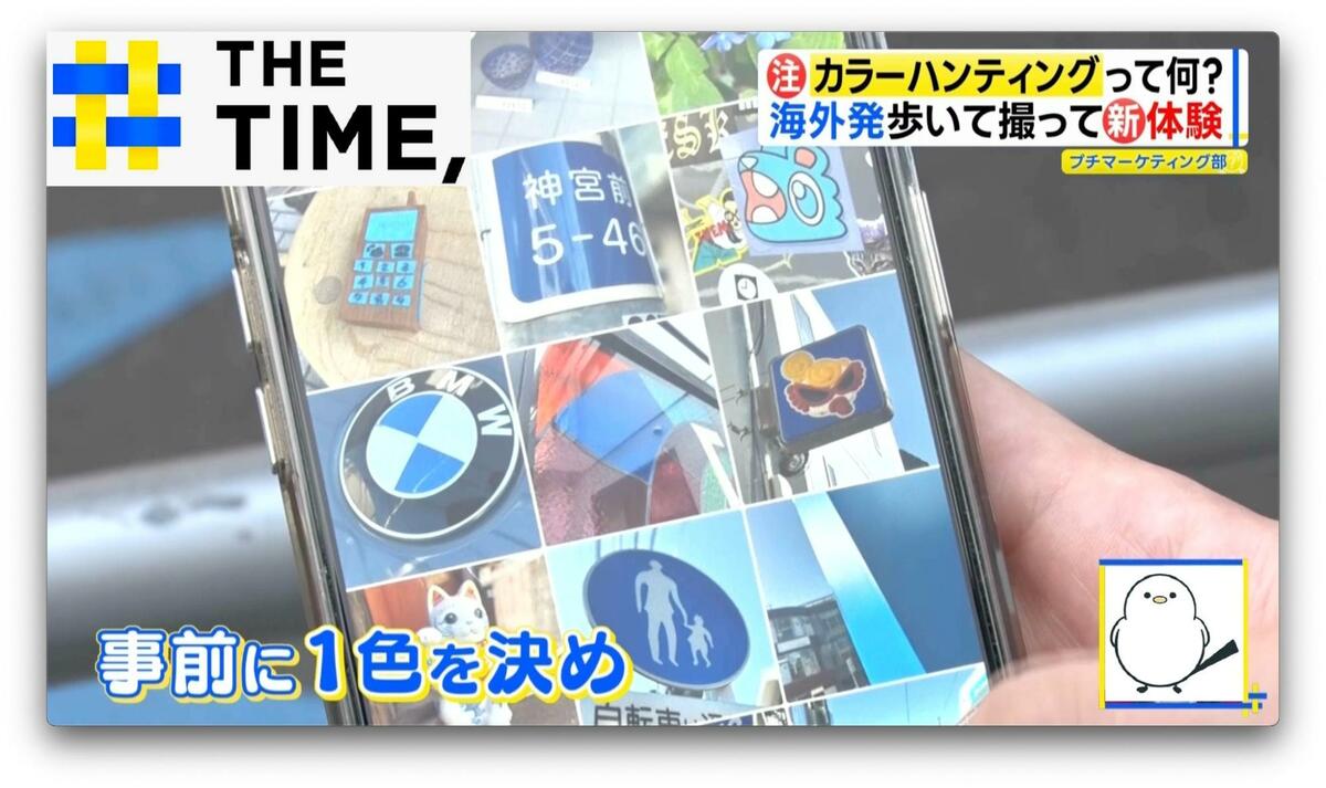 SNSで急増!歩いて撮る「カラーハンティング」とは?【THE TIME,】