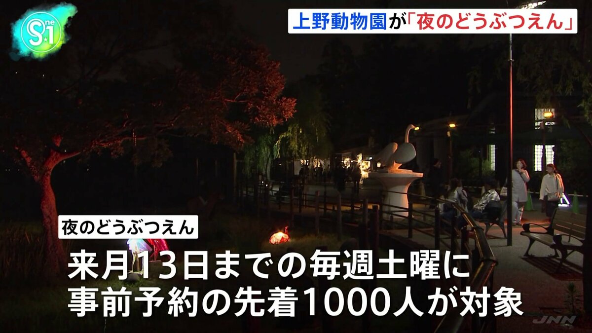 15年ぶり“パンダ不在”の上野動物園で「夜のどうぶつえん」　内容拡充し新たな魅力発信に注力　東京都