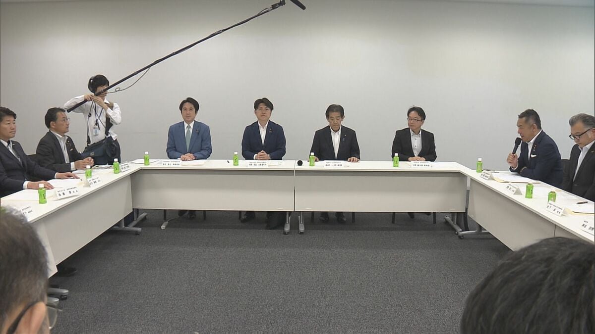 選挙中のSNS対策、与野党が法改正の骨子案を議論　SNS事業者への悪影響軽減措置の義務化など合意