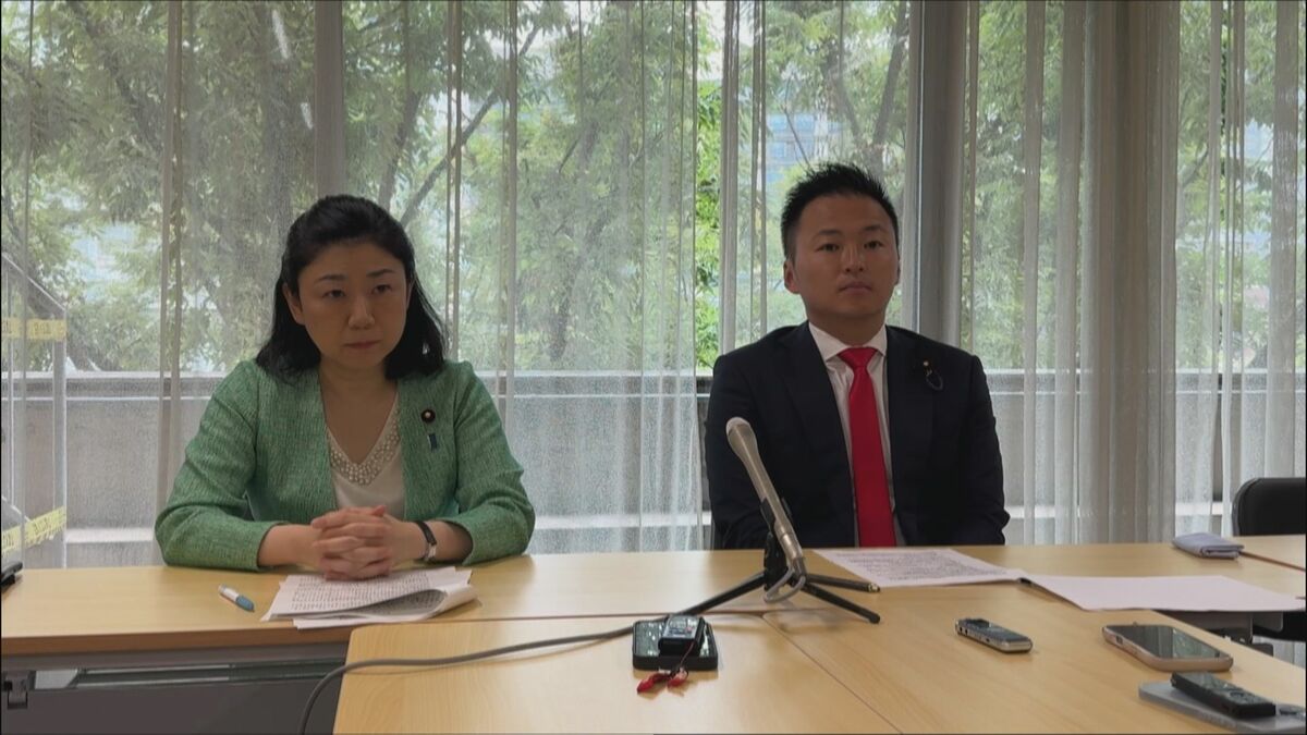 子どものネット規制めぐり年齢確認の厳格化など求める 年齢で一律の“利用制限”は盛り込まず 自民プロジェクトチーム