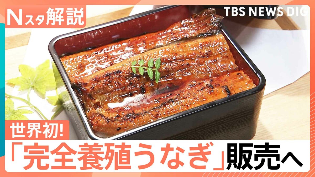 「完全養殖うなぎ」29日から一般向け販売へ、国産うなぎは前年比4割安!今後の価格はどうなる?【Nスタ解説】