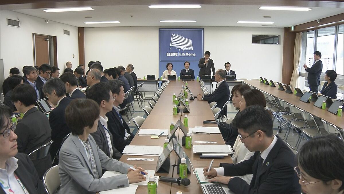 自民党・外国人政策本部が提言案とりまとめ　外国人児童ら対象の日本語教室モデル構築へ