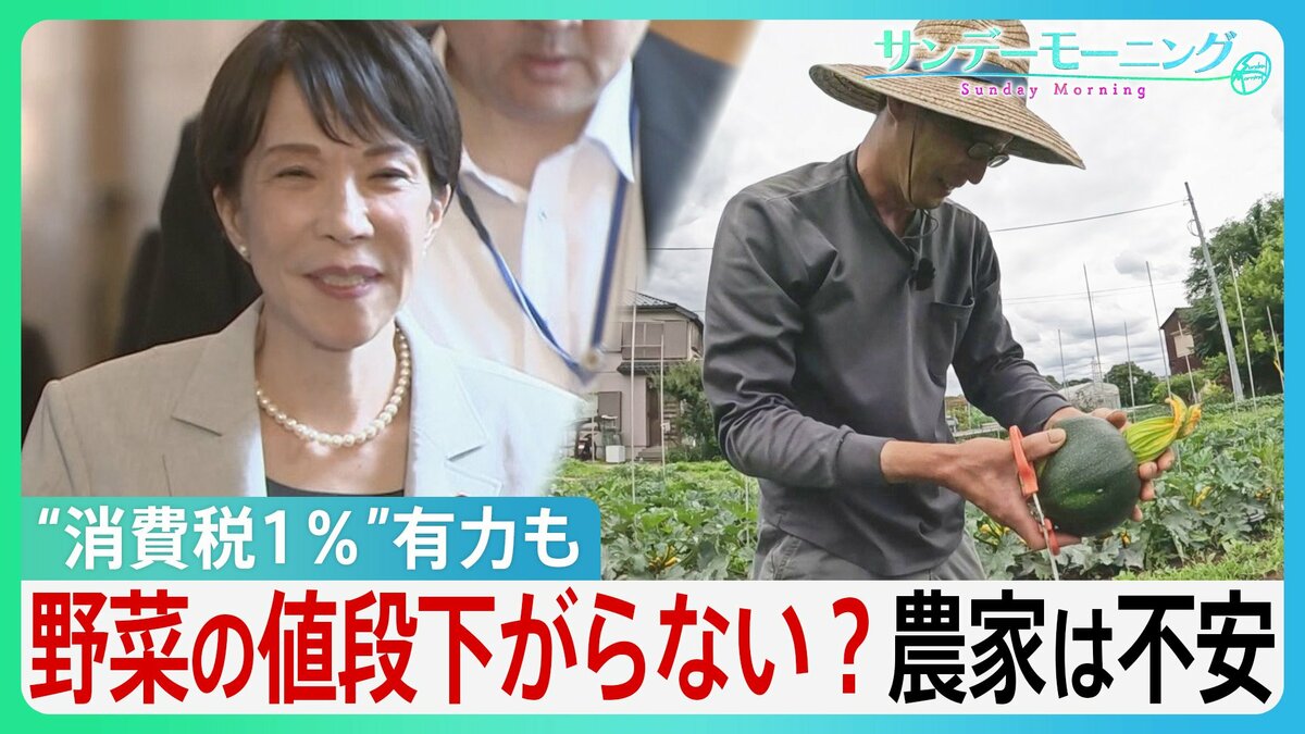 消費税“1%”有力も野菜の値段は下がらない？農家「高くなる可能性」”収入源”に不安の声　資材高騰による価格転嫁も…【サンデーモーニング】