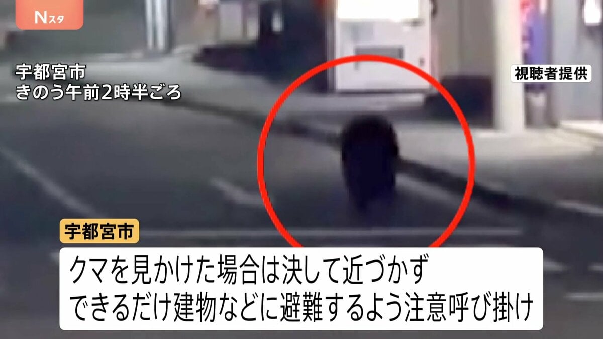 宇都宮市中心部でクマ目撃“40件以上”「一目で鳥肌が」街中の出現に戸惑い 市立小中学校が臨時休校 猟友会など捜索続ける