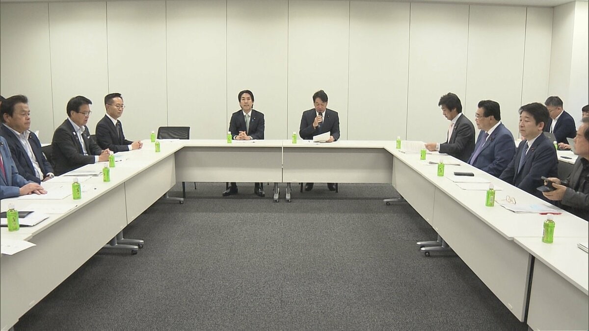 「既存のインフラ活用で早期かつ円滑に導入」 給付付き税額控除めぐり国民会議