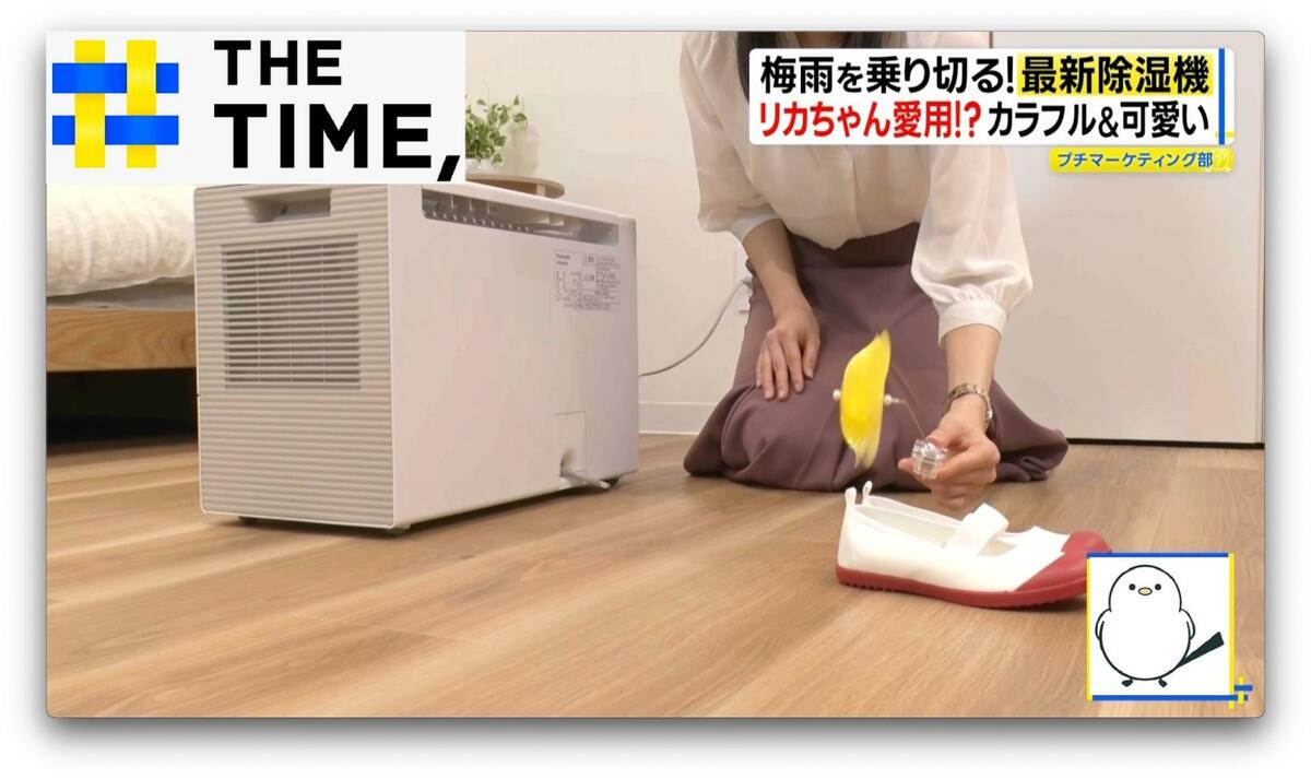 “サーキュレーター付き”や“リカちゃんコラボ”も…梅雨を乗り切る「最新除湿機」【THE TIME,】