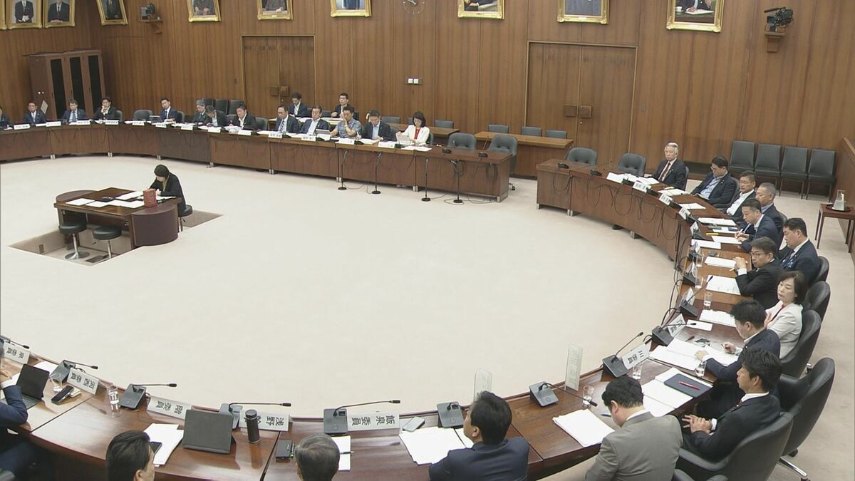 投票環境の整備など盛り込んだ国民投票法改正案が衆院憲法審査会で審議入り 来週採決の見通し