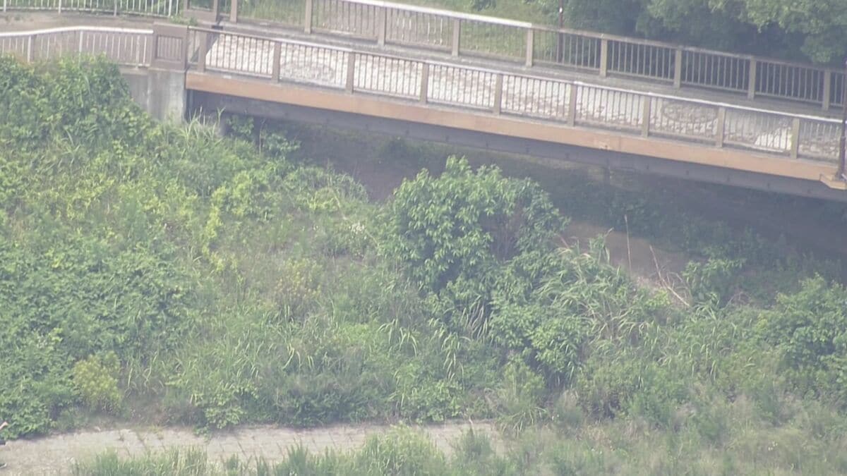 神奈川・相模原市で高3女子生徒(17)が見つかり死亡した事件 元交際相手の男(19)を殺人容疑で逮捕 首絞めるなどして殺害したか 容疑認める