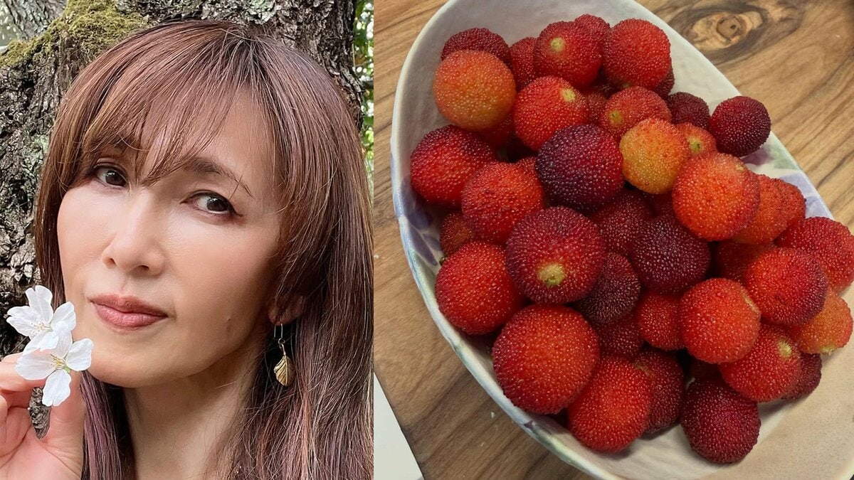 【 工藤静香 】 赤く実った「山桃」の収穫を報告 こだわりの手作りピクルスやハーブ炭酸水にファンから「お洒落」「何でもある」と絶賛の声