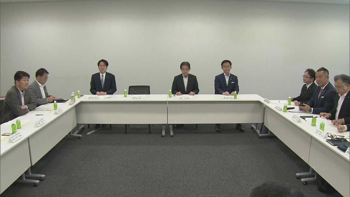 選挙期間中のSNS対策法案、AI画像投稿に表示義務付けなどの要綱で与野党が合意　来週にも国会提出へ