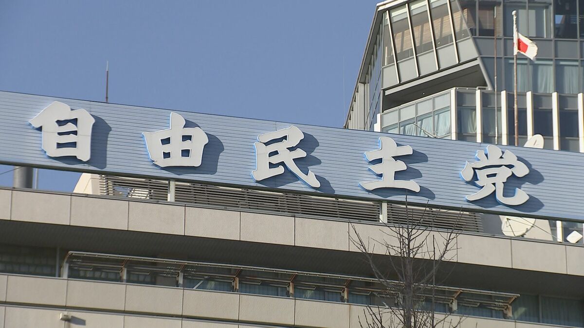 「内密出産」の出産費用を肩代わりする医療機関へ“支援策の検討を”　自民PTが論点整理案まとめる