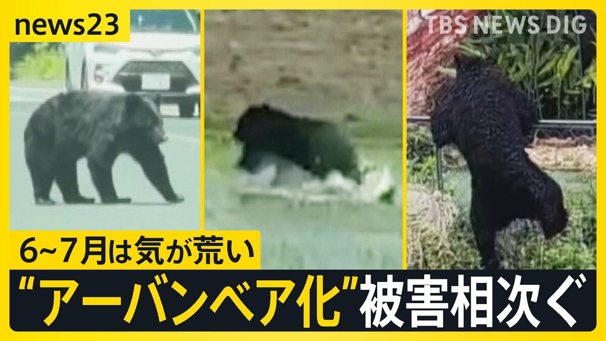 6～7月は気が荒くなっている」進む“アーバンベア化” 石川・奈良・島根