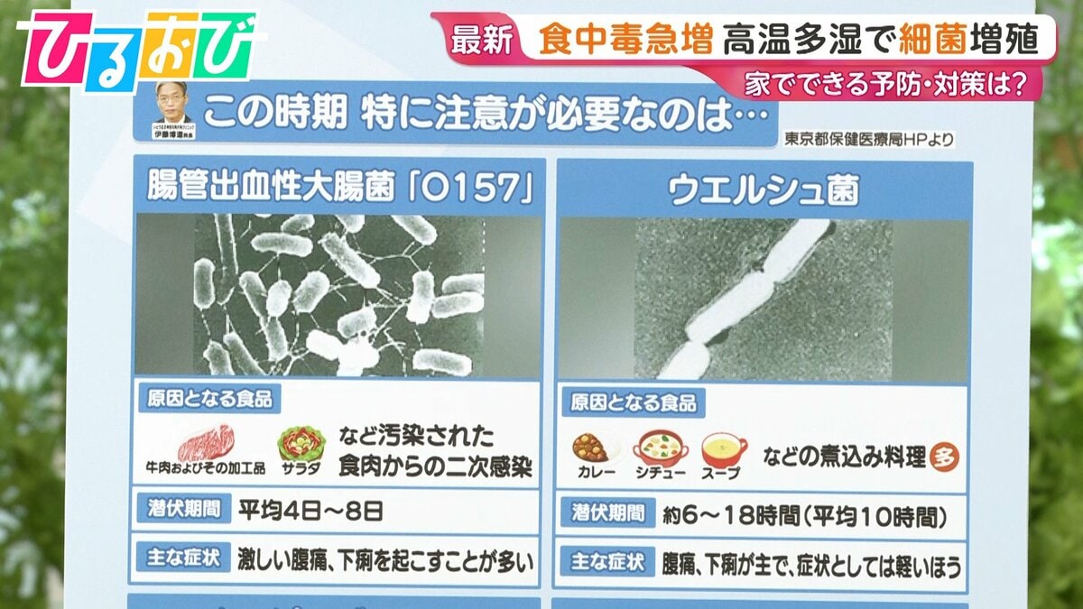 「これって食中毒?」悩んだ時の判断ポイントは…尿が出ない・口がカラカラ 街のギモンに医師が回答【ひるおび】