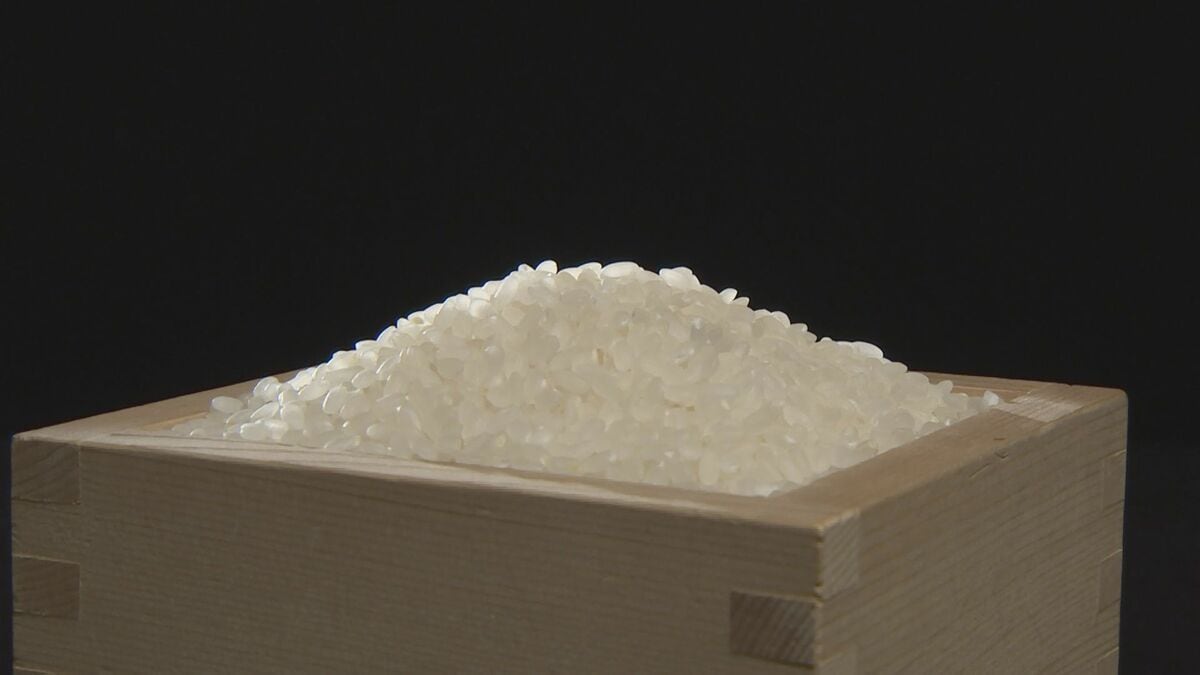 コメの価格が約10か月ぶりの3500円台に 民間在庫の高まりで安売り続く