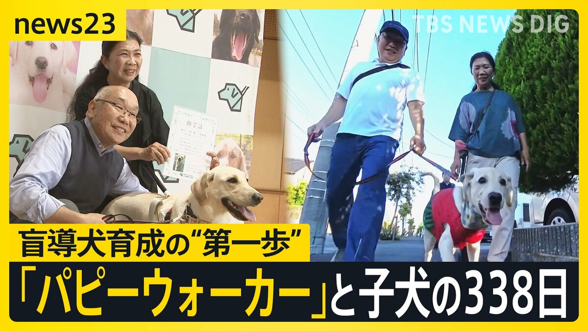 【盲導犬候補犬クレール】パピーウォーカーとの1年間に密着「何をしてもかわいい時期を一緒に」盲導犬を支えるボランティア　出会いから別れまでの338日【news23】