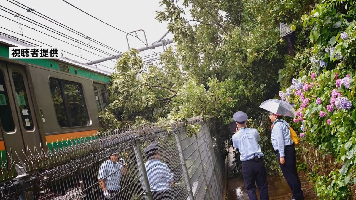 東京・北区の公園で倒木 “湘南新宿ライン”の電車と接触　一時運転見合わせる　けが人なし