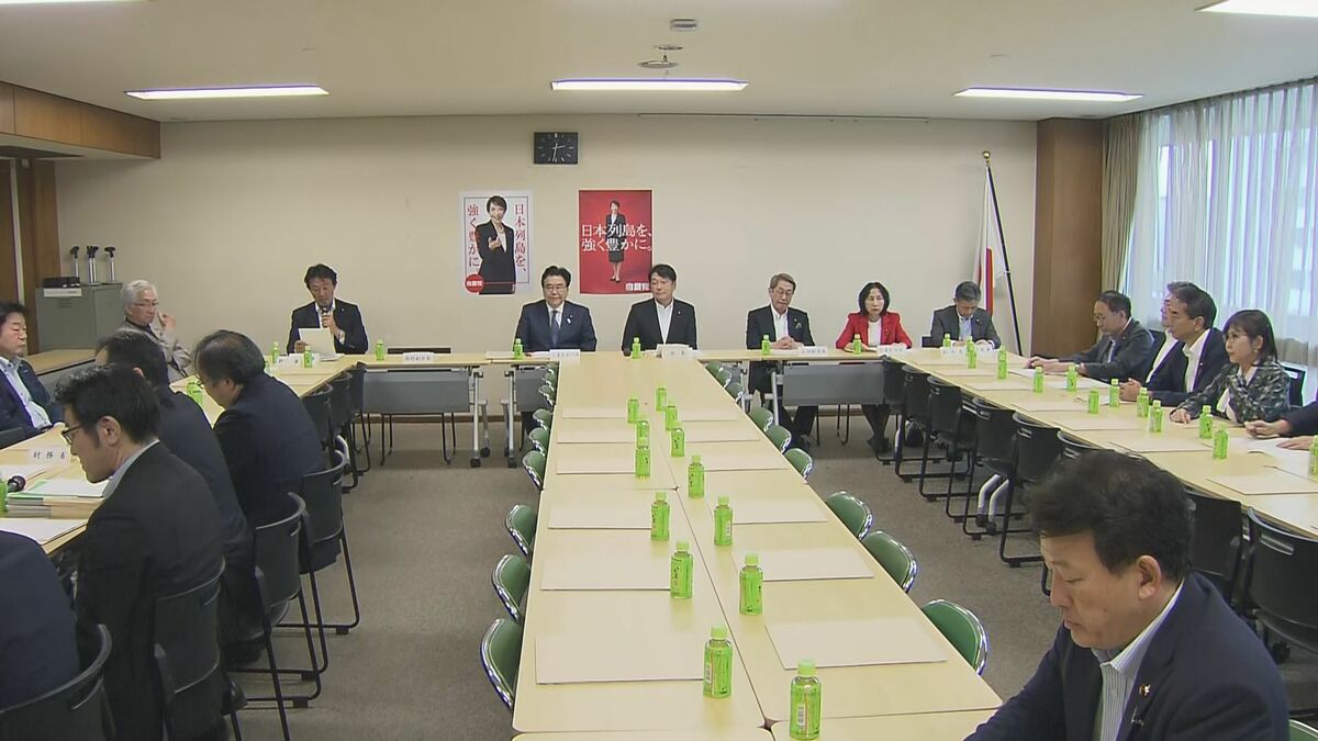 「給付にすべき」「2年後に戻せるのか」 食料品の消費税減税めぐり自民党が会合 懸念の声あがる