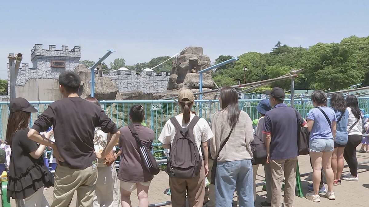 パンチくんを狙いサル山にレーザーポインターを照射　市川市動植物園