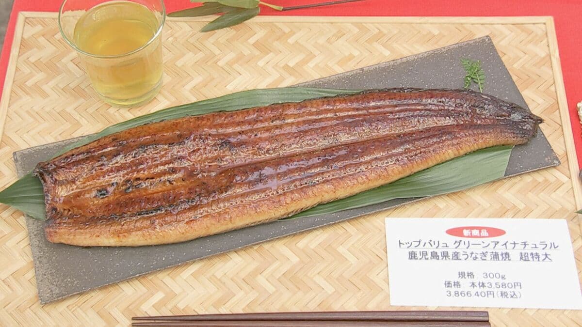 うなぎ豊漁で“大型サイズ”去年より500円安く店頭に…「土用の丑の日」商戦前に大手スーパー・イオンリテールで