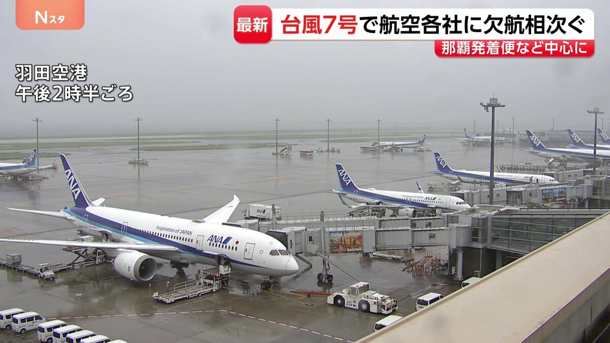 【台風情報・交通】台風7号の影響でANA22便・JAL11便欠航 那覇・宮古空港を発着する便を中心に25日の欠航決まる